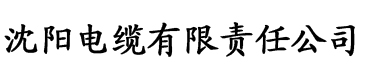 亚洲码欧美码一区二区三区91电缆厂logo